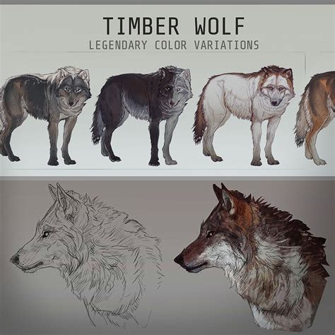 Artstation Timber Wolf Hobby Project