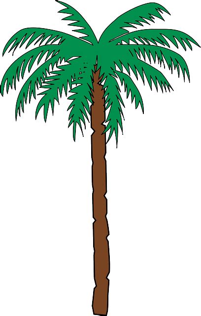 Palm Tree Date Free Vector Graphic On Pixabay