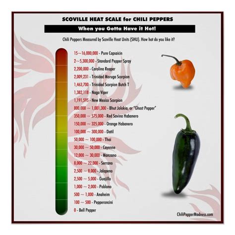 Scoville Heat Scale For Chili Peppers Poster Cooking For A Group