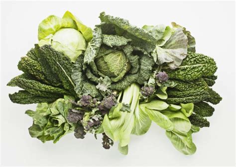 Leafy Greens How To Source Wash Store And Prepare Them Awaken