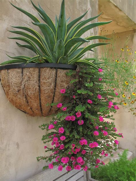 Now, it is high time for you to click the mouse and starting browsing the rich reservoir of flower on dhgate. 60 best ideas about Garden Planter Inspirations on ...