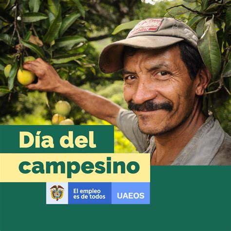 Con Mercados Campesinos Celebran El “día Del Campesino” Unidad Solidaria
