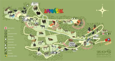 Zoologická zahrada olomouc, otevírací doba, vstupné, historie, atrakce, kontakt, mapa. Aktivita Lanové centrum Lanáček pro děti Brno | NaSvah.cz