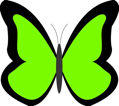 Green Butterfly Clipart Clipart Best Clipart Best