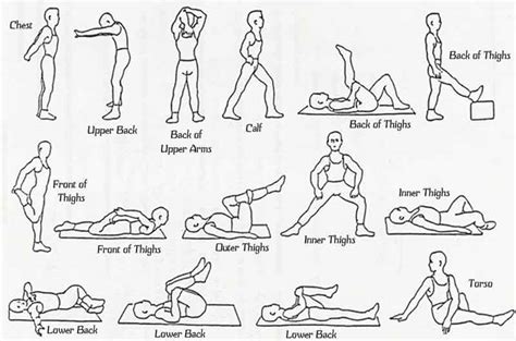 Various Types Of Stretches Part Ii Natural Health News