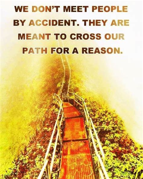 Our Paths Will Cross Again Quotes Quotesgram