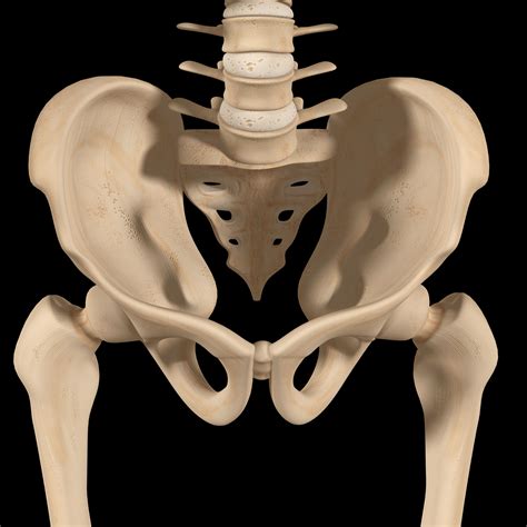 Tilted Pelvis Symptoms Treatments And Causes