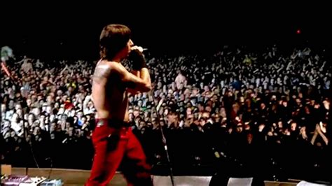 red hot chili peppers don t forget me live at slane castle hd hot my xxx hot girl