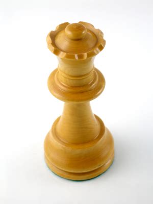 How to Move the Queen in Chess - Learn Chess 101-Learn How ...