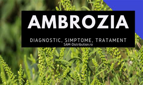 Listen to ambrozie | soundcloud is an audio platform that lets you listen to what you love and share the sounds you stream tracks and playlists from ambrozie on your desktop or mobile device. Alergia la ambrozie: diagnostic, simptome, tratament | SAM ...