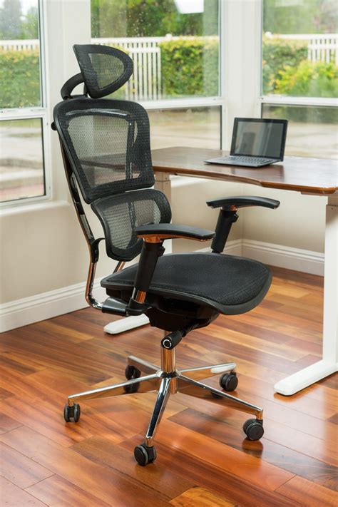 Ultimate Lumbar Support Mesh Chair Ergomax Office