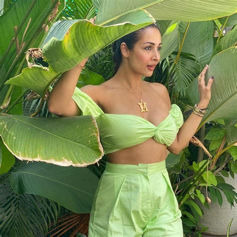 malaika arora is the hottest these sexy pictures of the diva are proof news18