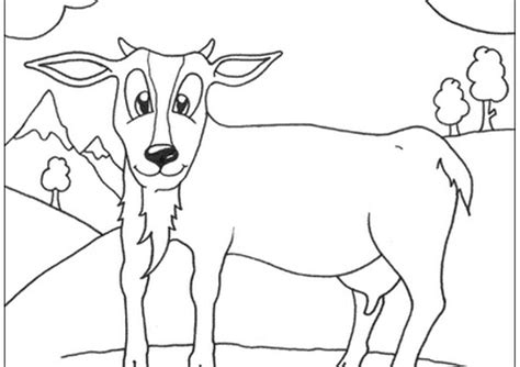 Collection of cute goat coloring pages (27) cute goat easy drawing goat coloring pages Printable Animals Coloring Pages Sheets | Coloring Pages ...