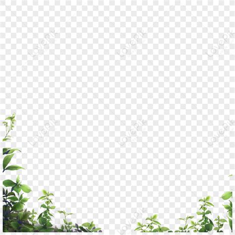 Green Border Green Leaves Green White Dark Green Png Free Download
