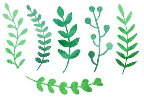 Watercolor Greenery Vector At Collection Of