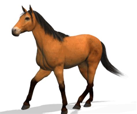 Download High Quality Horse Clipart Realistic Transparent Png Images