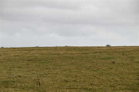 Chalk Grassland Tolsford Hill © N Chadwick Cc By Sa20 Geograph