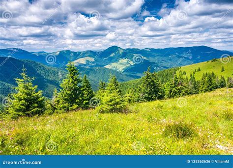 Spring Landscape With Grassy Meadows And Mountains Stock Photo Image