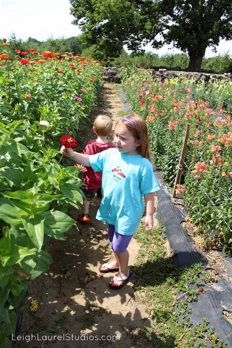 Create your own unique floral style and experiment with adding flowers to your. Craft with Kids: Gathering & Learning to Draw Flowers ...