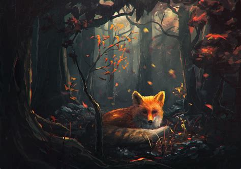 Red Fox In Autumn Forest Full Hd Wallpaper And Background Image