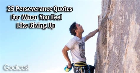 25 Perseverance Quotes For When You Feel Like Giving Up Goalcast