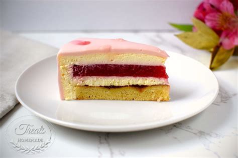 Strawberry Vanilla Entremet Treats Homemade