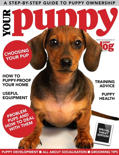 Your Dog Magazine Your Puppy Special Issue