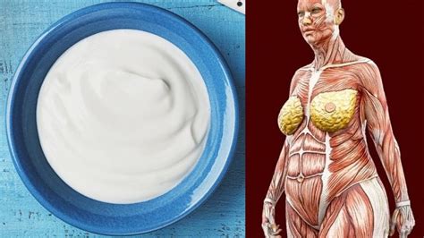 How To Use Yogurt For Constipation Youtube