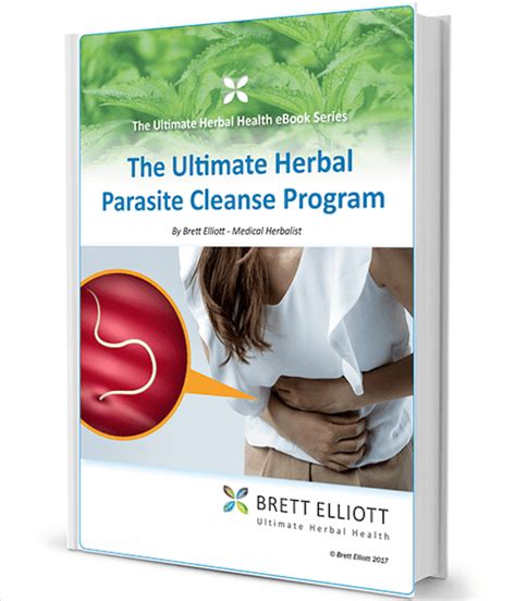 Most Effective Parasite Cleansing Program And Home Remedies