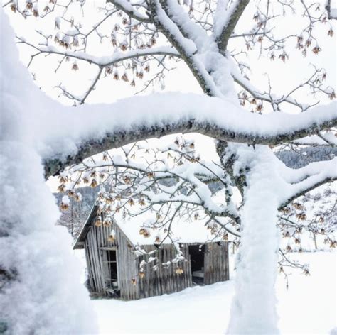 10  Christmas Pictures Wonderland Snow Scenes | Winter pictures, Snow scenes, Winter scenes