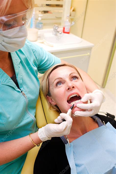 Dentist Stock Image C0313014 Science Photo Library