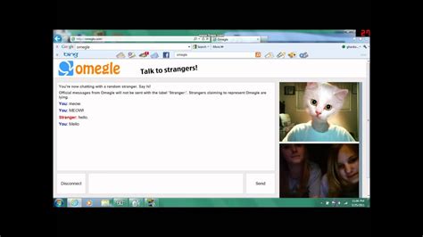 Meow Meows The Cat On Omegle Youtube