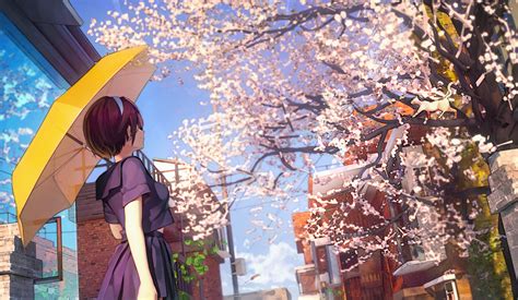 Download 3193x1858 Cherry Blossom Sakura Petals Anime School Girl