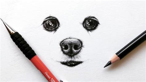 Dog Eyes Sketch At Explore Collection Of Dog Eyes