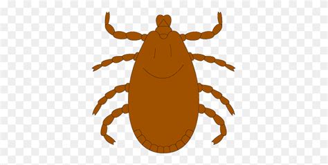 Tick Bug Clipart Clip Art Images Same Clipart Stunning Free