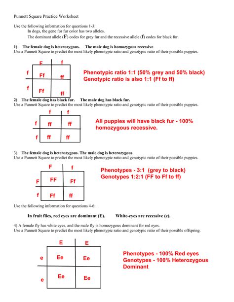 Punnett Square Practice Answers