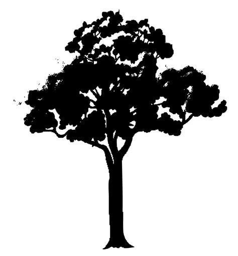 Tree Vector Clipart Tree Clipart Tree Png Vector Tree Cartoon Pdmrea