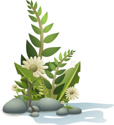 Free Plant Cartoon Download Free Plant Cartoon Png Images Free