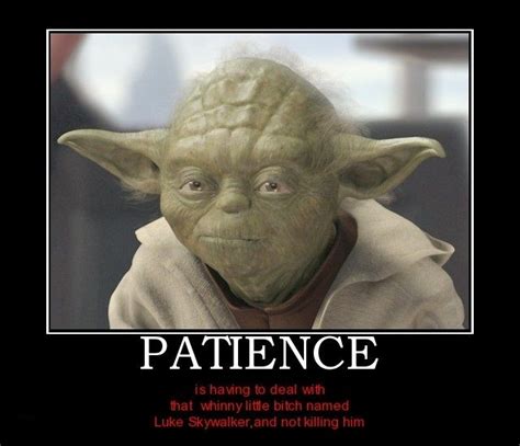 Funny memes and pictures make everybody laugh the hardest. Patience | Yoda quotes, Yoda, Cute quotes
