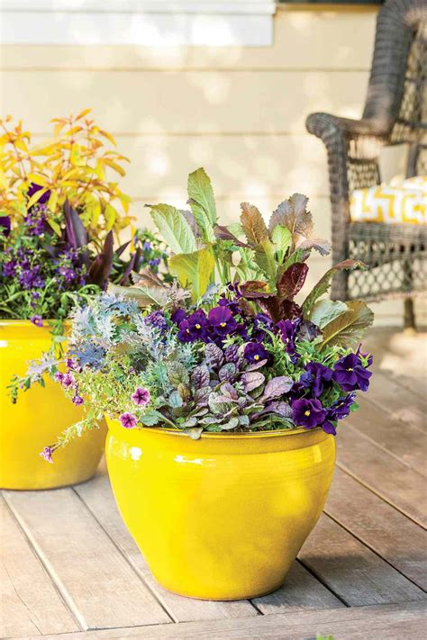 30 Shade Loving Container Garden Ideas Southern Living