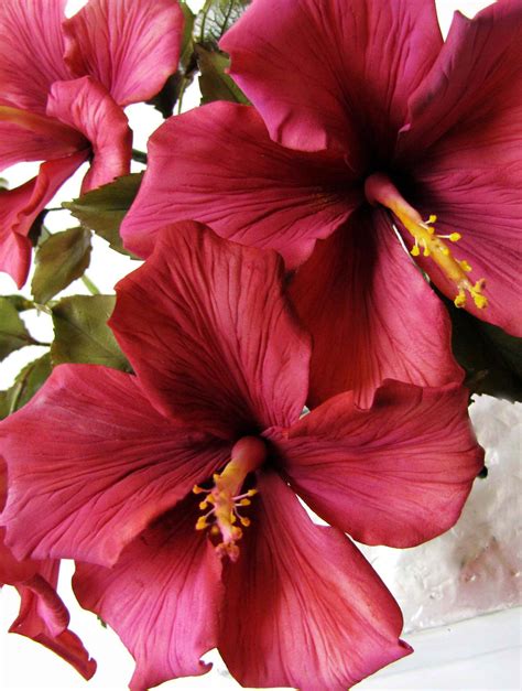 This variety of hibiscus is different from the flowers i grew up with in los angeles; Gumpaste Hibiscus | Sugar paste flowers, Gum paste flowers ...
