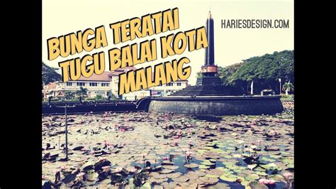 Umumnya teratai tumbuh di kolam, sungai. Mewarnai Kolam Bunga Teratai : Koleksi Gambar Bunga Cantik Dan Indah - Hanya saja, pemilik kolam ...