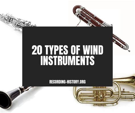 20 Types Of Wind Instruments You Didnt Know Existed