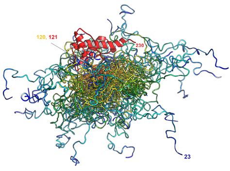 Sasdhv9 Murine Major Prion Protein Prpc 23 230