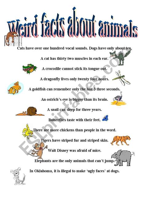 It sleeps for up to 18 hours a day. Weird Facts About Animals - ESL worksheet by Catherine Shutik