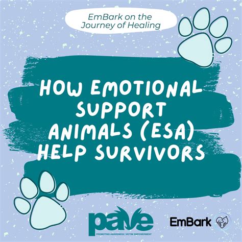 How Emotional Support Animals Help Survivors — Pave