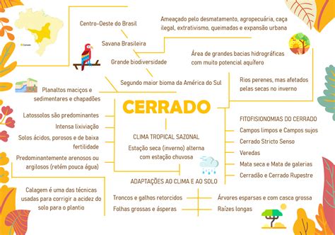 MAPA MENTAL SOBRE CERRADO STUDY MAPS