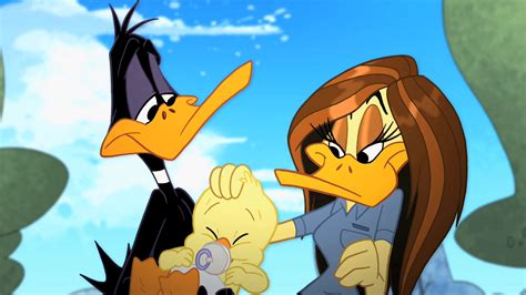 Image Snapshot20110907221133 Png The Looney Tunes Show Wiki Fandom Powered By Wikia