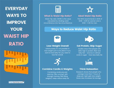 Waist To Hip Ratio Your Essential Guide
