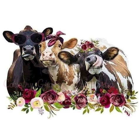 Country Grace With Alisha Crazy Cows Sublimation Transfer In 2022